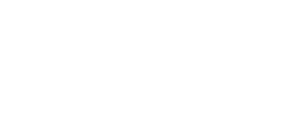 WiWi-Project — Wirtschaftswissen für jedermann leicht gemacht